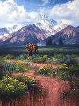 Colorado Cowboy-Jack Sorenson-Art Print