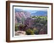 Brown Frame