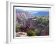 White Frame
