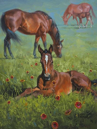 Art Print, , large