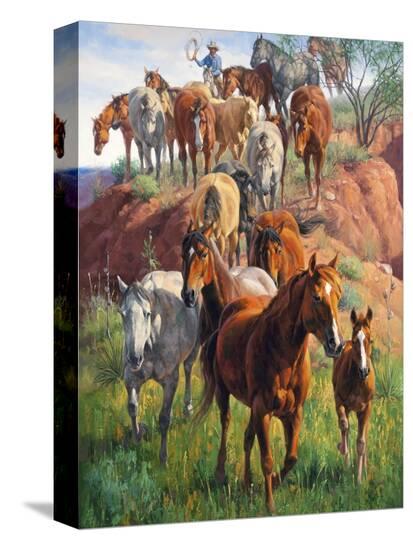 Stretched Canvas Print, , large