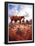 Essential Black