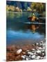 Wood Mount