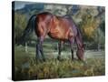 Stretched Canvas