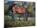 Wood Mount