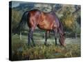 Stretched Canvas