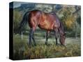 Stretched Canvas