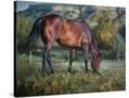 Stretched Canvas