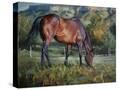 Stretched Canvas