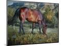 Wood Mount