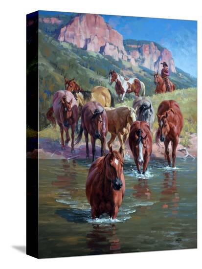 Stretched Canvas Print, , large