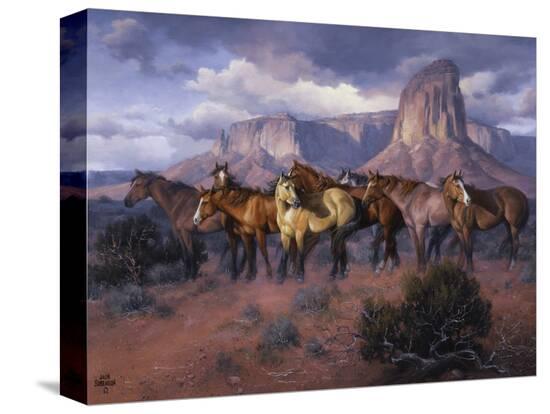 Stretched Canvas Print, , large