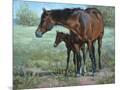 Wood Mount