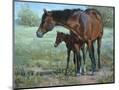 Wood Mount