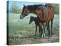 Stretched Canvas