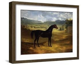 Jack Spigot, a Dark Bay Racehorse in a Paddock at Bolton Hall-John Frederick Herring I-Framed Giclee Print