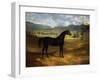 Jack Spigot, a Dark Bay Racehorse in a Paddock at Bolton Hall-John Frederick Herring I-Framed Giclee Print