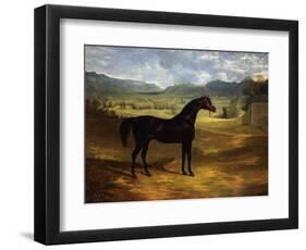 Jack Spigot, a Dark Bay Racehorse in a Paddock at Bolton Hall-John Frederick Herring I-Framed Premium Giclee Print