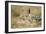 Jackal at Ngorongoro Conservation Area, Tanzania-null-Framed Photographic Print