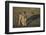 Jackal Pup-Paul Souders-Framed Premium Photographic Print
