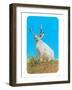Jackalope, Horned Rabbit-null-Framed Art Print
