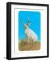 Jackalope, Horned Rabbit-null-Framed Art Print