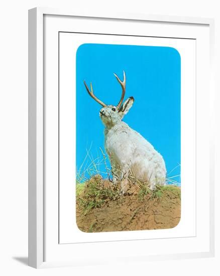 Jackalope, Horned Rabbit-null-Framed Art Print