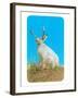 Jackalope, Horned Rabbit-null-Framed Art Print