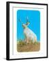 Jackalope, Horned Rabbit-null-Framed Art Print