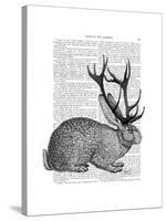 Jackalope Portrait 1-Fab Funky-Stretched Canvas