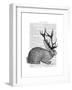 Jackalope Portrait 1-Fab Funky-Framed Art Print