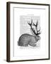 Jackalope Portrait 1-Fab Funky-Framed Art Print