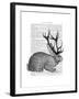 Jackalope Portrait 1-Fab Funky-Framed Art Print