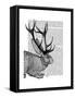 Jackalope Portrait 2-Fab Funky-Framed Stretched Canvas