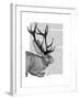 Jackalope Portrait 2-Fab Funky-Framed Art Print