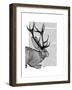 Jackalope Portrait 2-Fab Funky-Framed Art Print