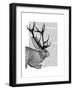 Jackalope Portrait 2-Fab Funky-Framed Art Print