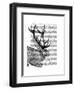 Jackalope Portrait 2-Fab Funky-Framed Art Print