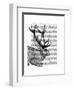 Jackalope Portrait 2-Fab Funky-Framed Art Print