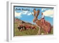 White Frame