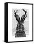 Jackalope with Grey Antlers-Fab Funky-Framed Stretched Canvas