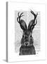 Jackalope with Grey Antlers-Fab Funky-Stretched Canvas