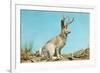 Jackalope-null-Framed Art Print