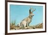 Jackalope-null-Framed Art Print