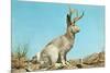 Jackalope-null-Mounted Art Print