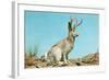 Jackalope-null-Framed Art Print