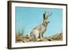 Jackalope-null-Framed Art Print