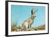 Jackalope-null-Framed Art Print