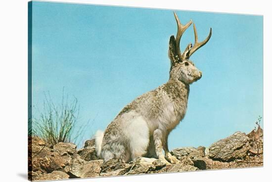 Jackalope-null-Stretched Canvas