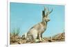 Jackalope-null-Framed Art Print